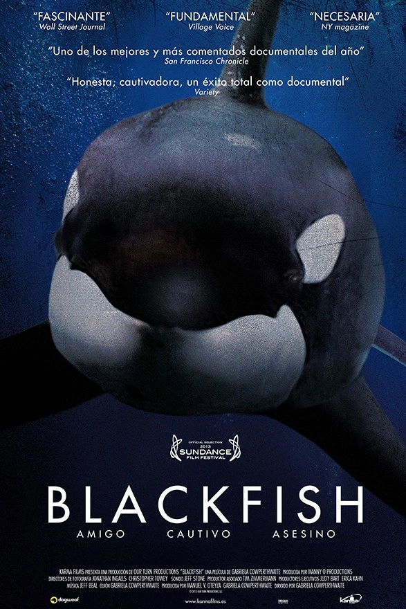 Blackfish