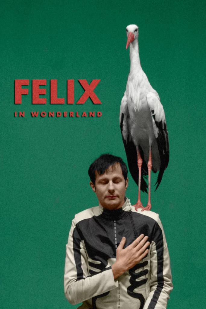 Felix in Wonderland