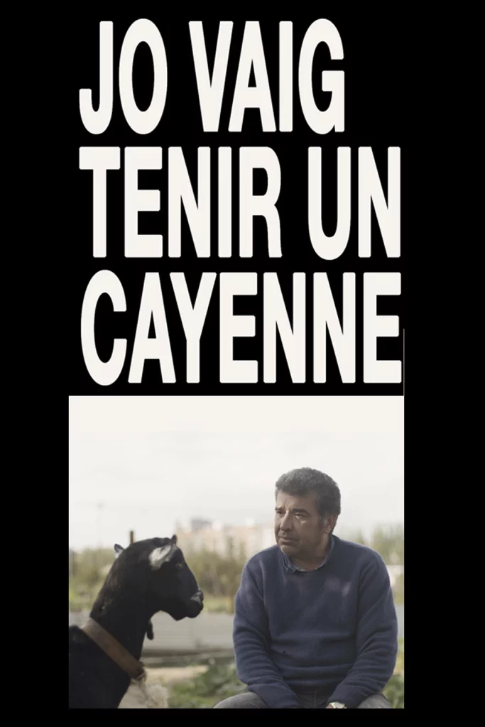 Jo vaig tenir un cayenne