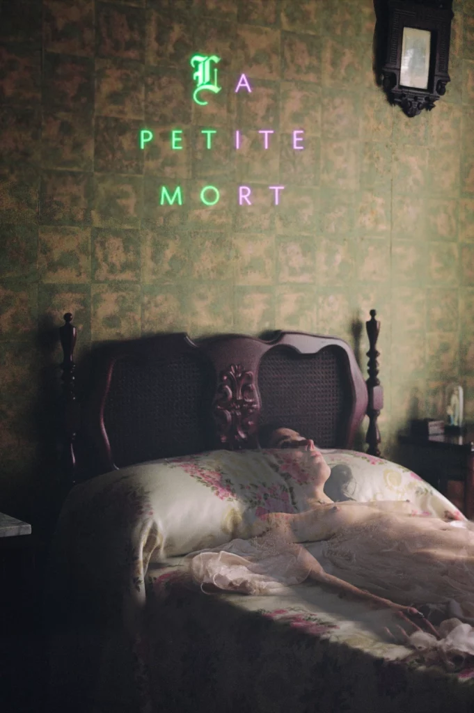 La petite mort (2017)