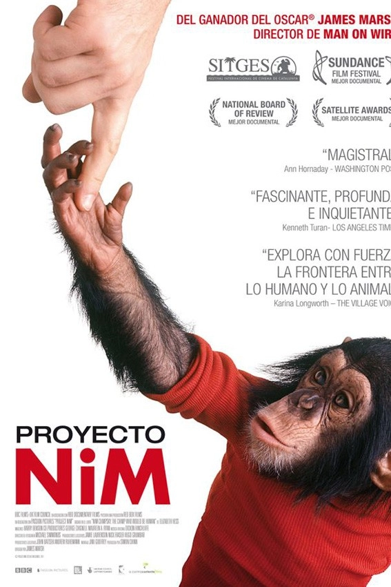 Projecte Nim