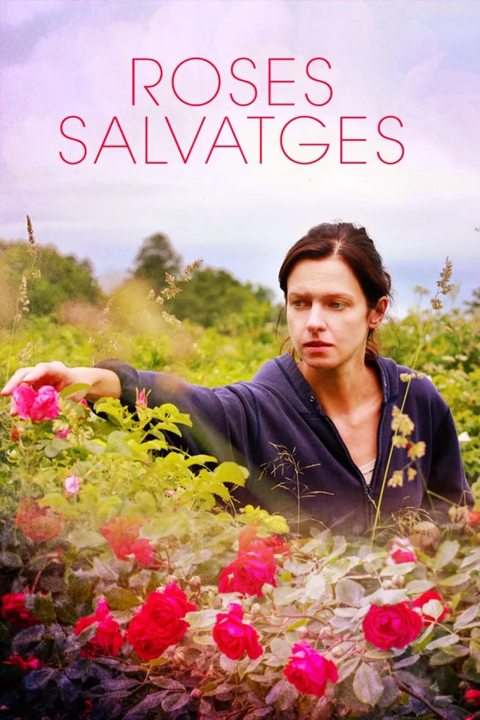 Roses salvatges