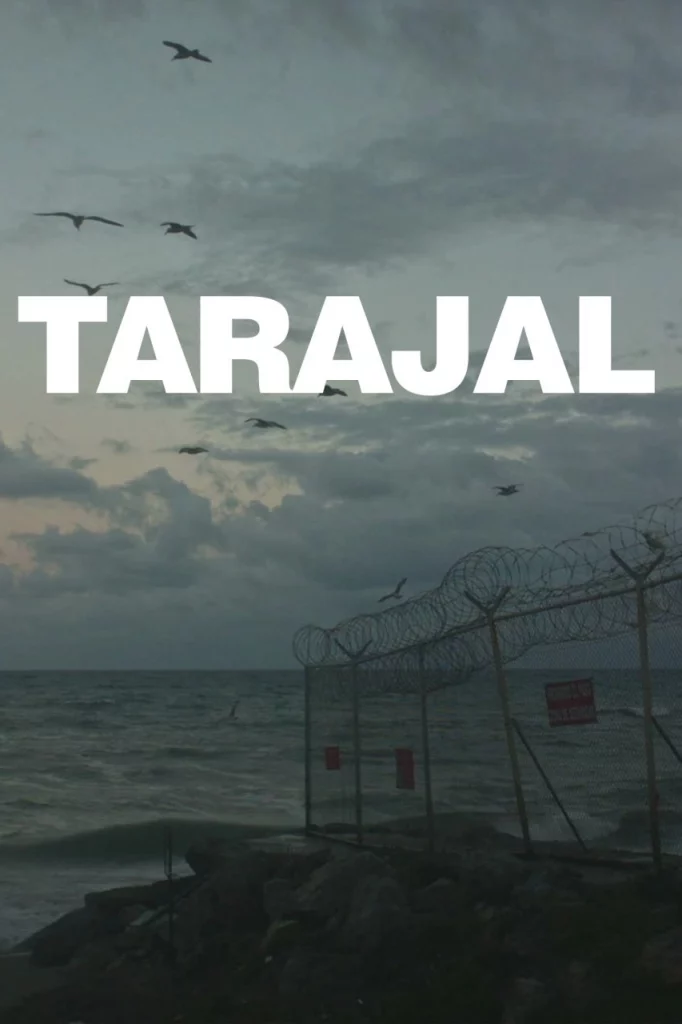Tarajal: Desmuntant la impunitat a la frontera sud