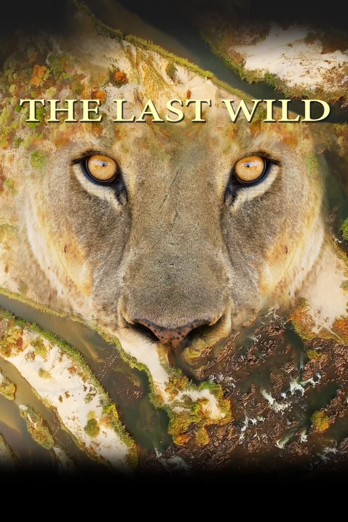 The Last Wild