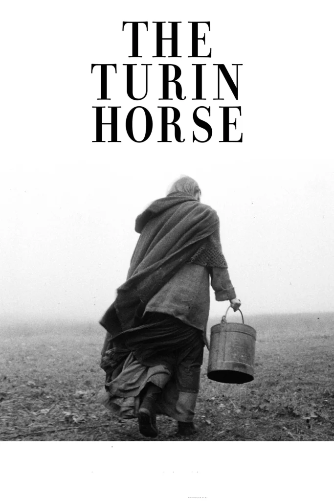 The turin horse
