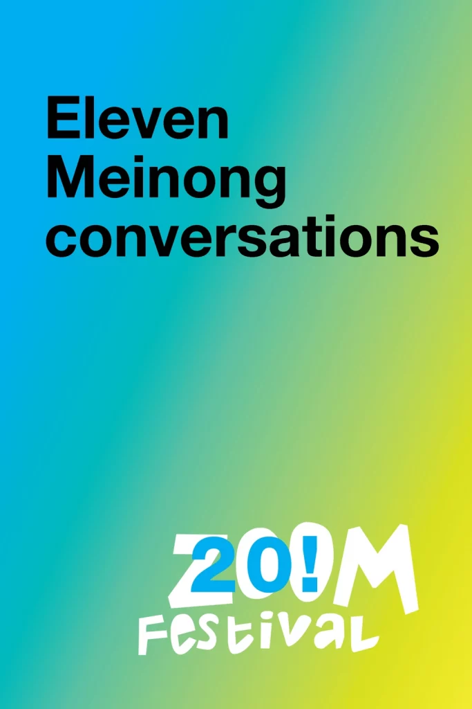 Eleven Meinong Conversations